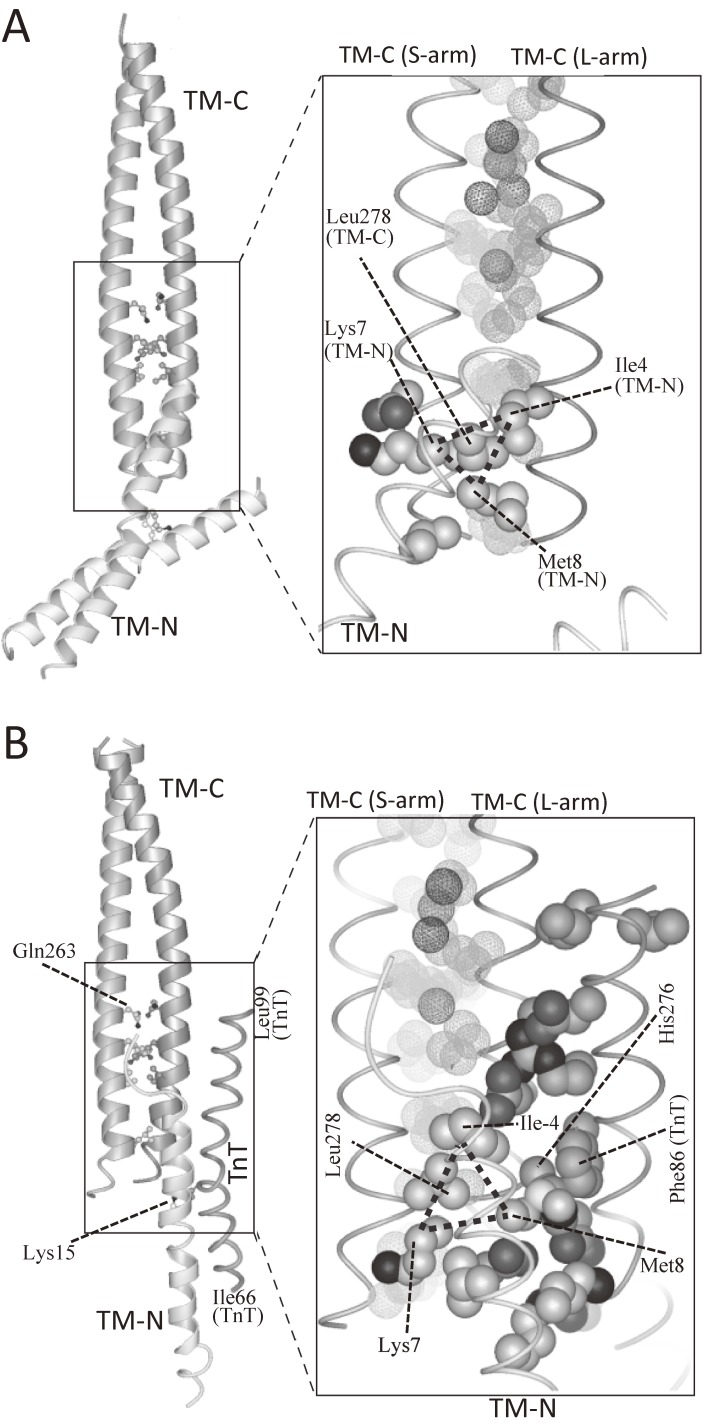 Figure 12. 