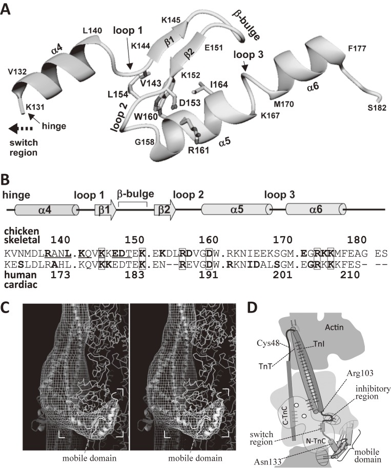 Figure 9. 