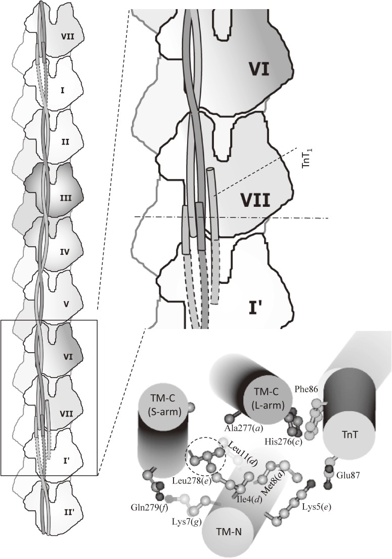 Figure 14. 