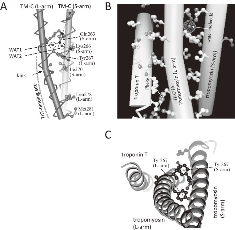 Figure 13. 