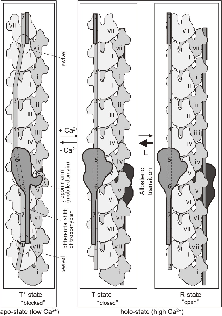 Figure 15. 