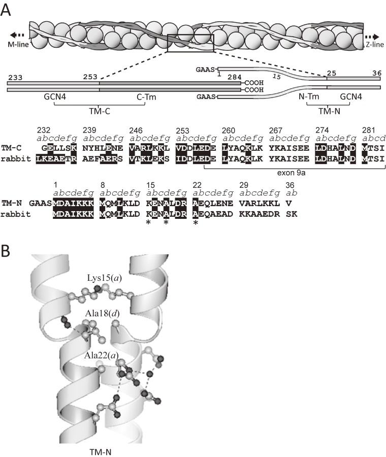 Figure 11. 