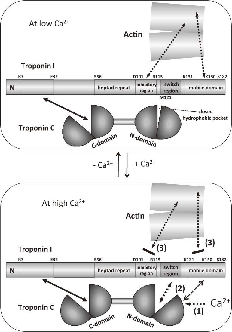 Figure 10. 