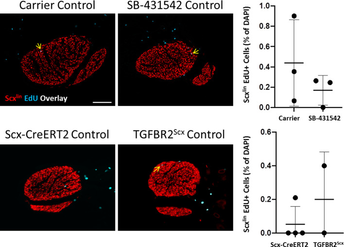 Figure 4—figure supplement 1.