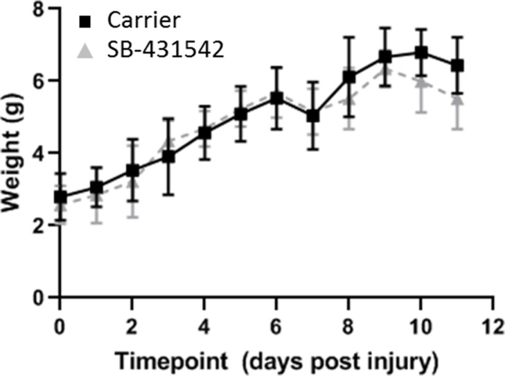 Figure 2—figure supplement 2.