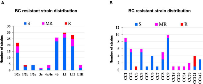 FIGURE 10