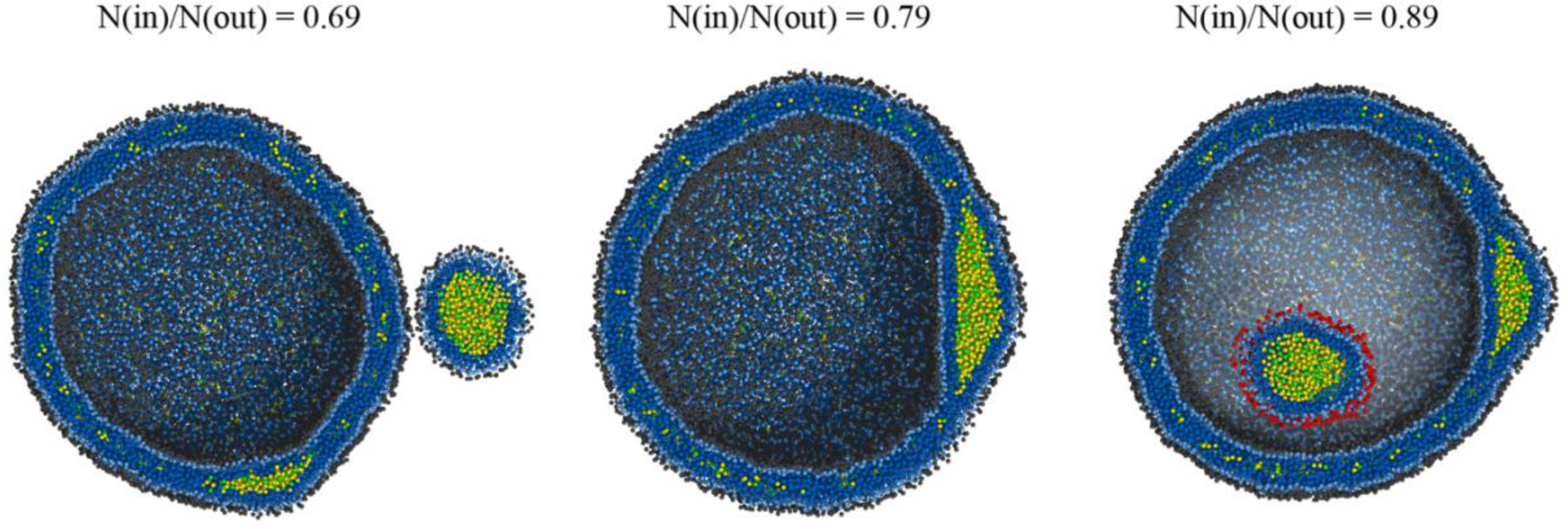 FIGURE 7.