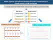 Image, graphical abstract