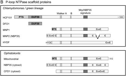 Figure 1.—