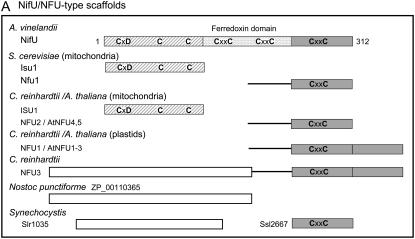 Figure 1.—