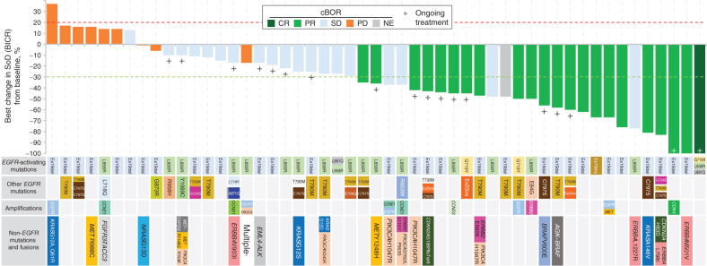 Figure 1. Best percentage change in the tumor sum of diameters (SoD) from baseline for the pooled HER3-DXd (5.6 mg/kg, i.v. once every 3 weeks) population. Tumor genomic alterations prior to treatment with HER3-DXd are provided for each patient. Six patients could not be evaluated for BOR due to lack of adequate post–baseline tumor assessment and are not shown; one patient had a BOR of NE due to achieving SD too early (<5 weeks) and is shown with hatched markings. Genomic analysis was performed centrally using Oncomine Comprehensive Assay v3 (Thermo Fisher Scientific). Results from local testing are included, if available, together with any additional mutations detected using GuardantOMNI assay of ctDNA in blood collected prior to treatment with HER3-DXd. For ctDNA analysis, a minor allelic frequency of ≥0.1% was used as a threshold for detection of mutations. aPatient had multiple tumor mutations comprising CDKN2A A143V; PIK3CA E542K, E545K, E726K; ERBB2 K200N; and ERBB3 Q847*, Q849*. cBOR, Confirmed BOR.