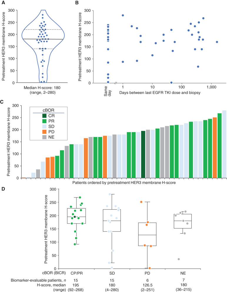 Figure 3. Pretreatment HER3 membrane expression and association with BOR. BOR was assessed by BICR in patients treated with HER3-DXd at 5.6 mg/kg (43 of 57 patients evaluable for HER3 membrane expression). A, Distribution of pretreatment HER3 membrane H-score (0–300). B, Pretreatment HER3 membrane H-score and association with time since last treatment with EGFR TKI. C and D, Pretreatment HER3 membrane H-score and confirmed BOR (cBOR).