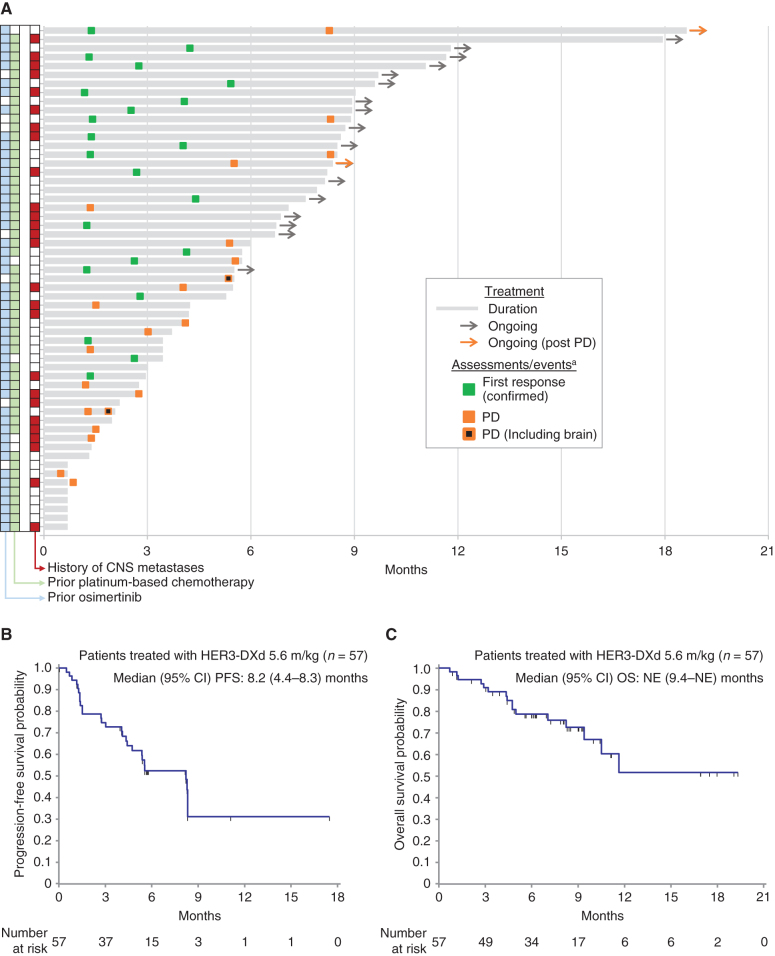 Figure 2. Tumor response as assessed by BICR in patients treated with HER3-DXd at 5.6 mg/kg (n = 57). A, Swimmer plot showing treatment duration, first occurrence of confirmed tumor response, and progression. Prior treatment and history of CNS metastases are indicated for each patient. B, Kaplan–Meier plot of progression-free survival probability. C, Kaplan–Meier plot of overall survival probability. aMarkers show the time of the initial response for confirmed responses. Two patients continued treatment after progression. In one case (top of swimmer plot), the patient had an equivocal (small) lesion and continued on treatment, but the lesion was later assessed as unequivocal—the swimmer plot is marked PD at the date of the lesion's first appearance. In the other case, treatment continued because PD was determined by BICR but not by the local investigator (the study treatment discontinuation criteria were based on local tumor assessment).