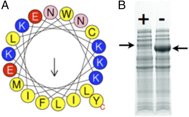 Fig. 3.