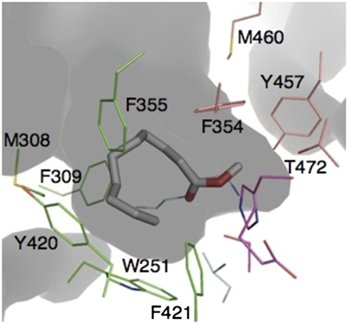 Fig. 4.