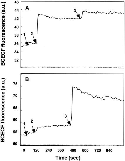 FIG. 3.