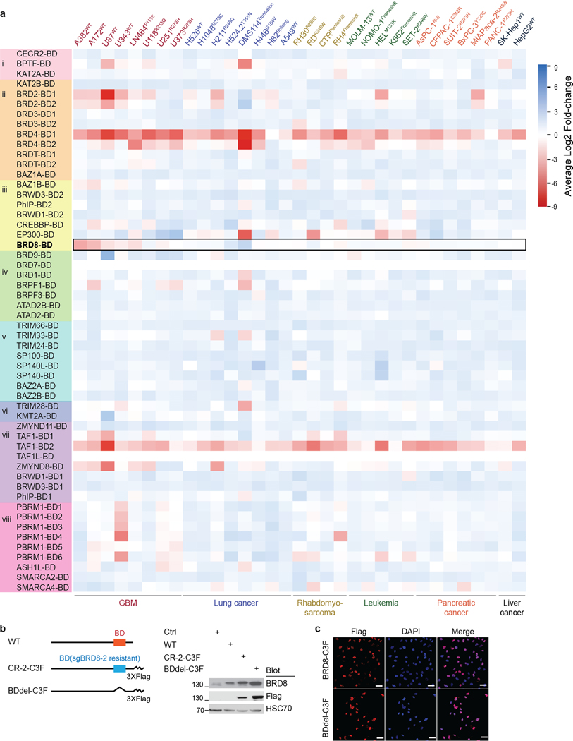 Extended Data Fig. 8 |