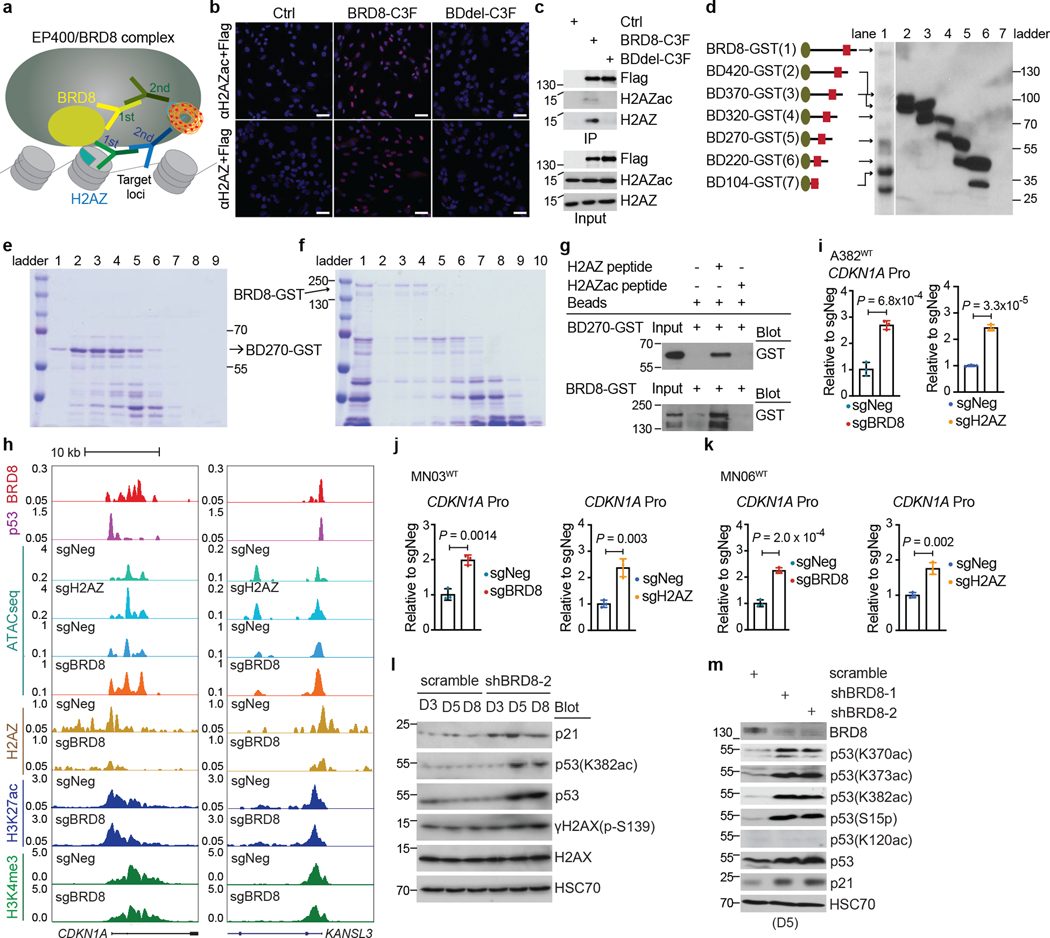 Extended Data Fig. 9 |