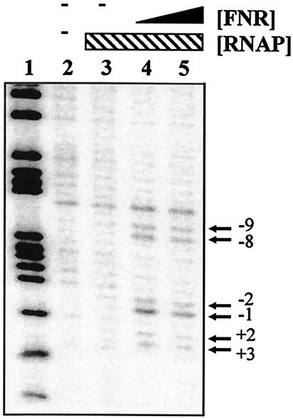 FIG. 6.