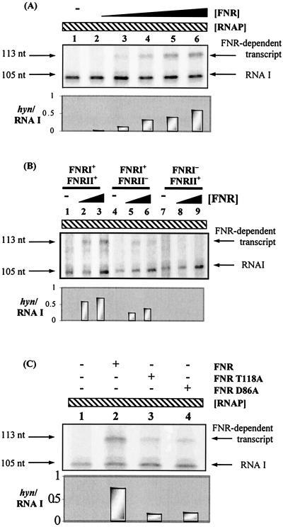 FIG. 5.