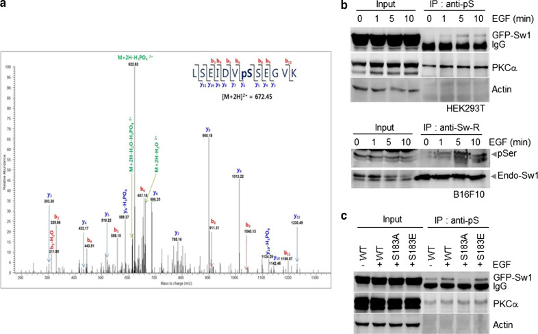 Fig. 4