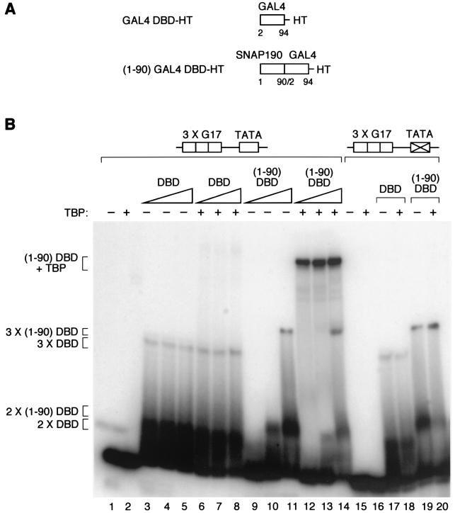 FIG. 5.