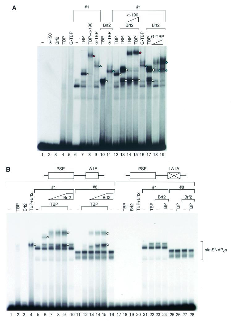 FIG. 7.