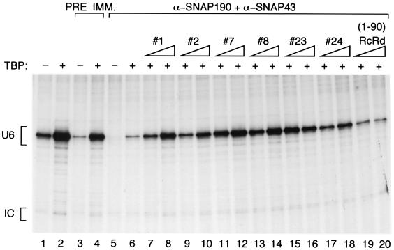 FIG. 6.