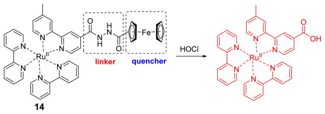 Fig. 13