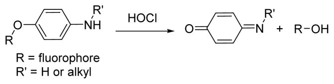 Scheme 4