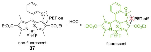 Fig. 36