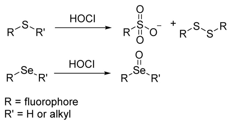 Scheme 5