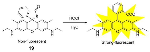 Fig. 18