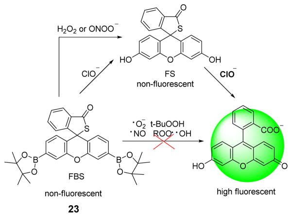 Fig. 22