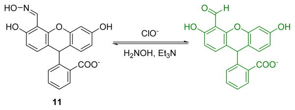 Fig. 10