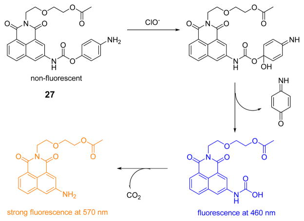 Fig. 26