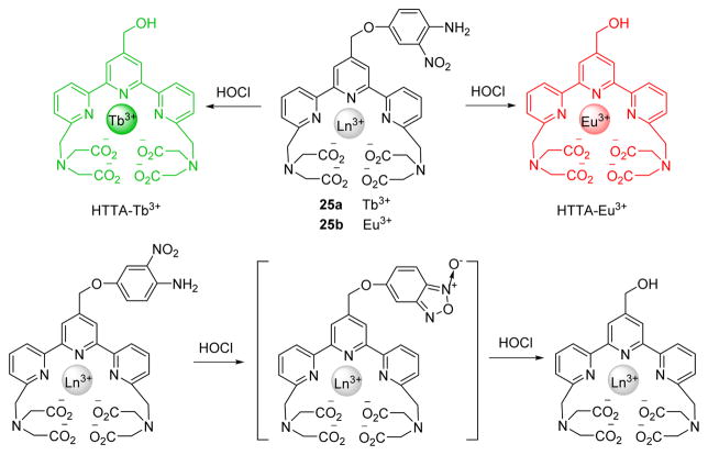 Fig. 24