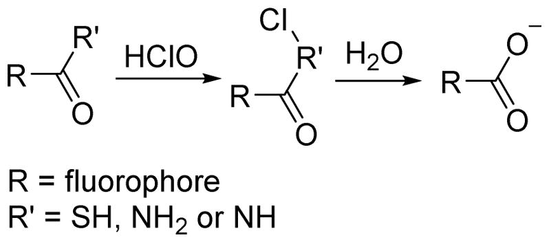 Scheme 3