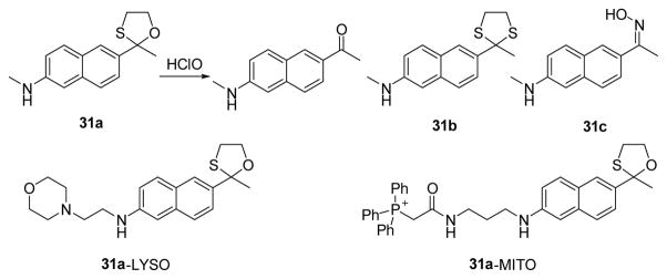 Fig. 30