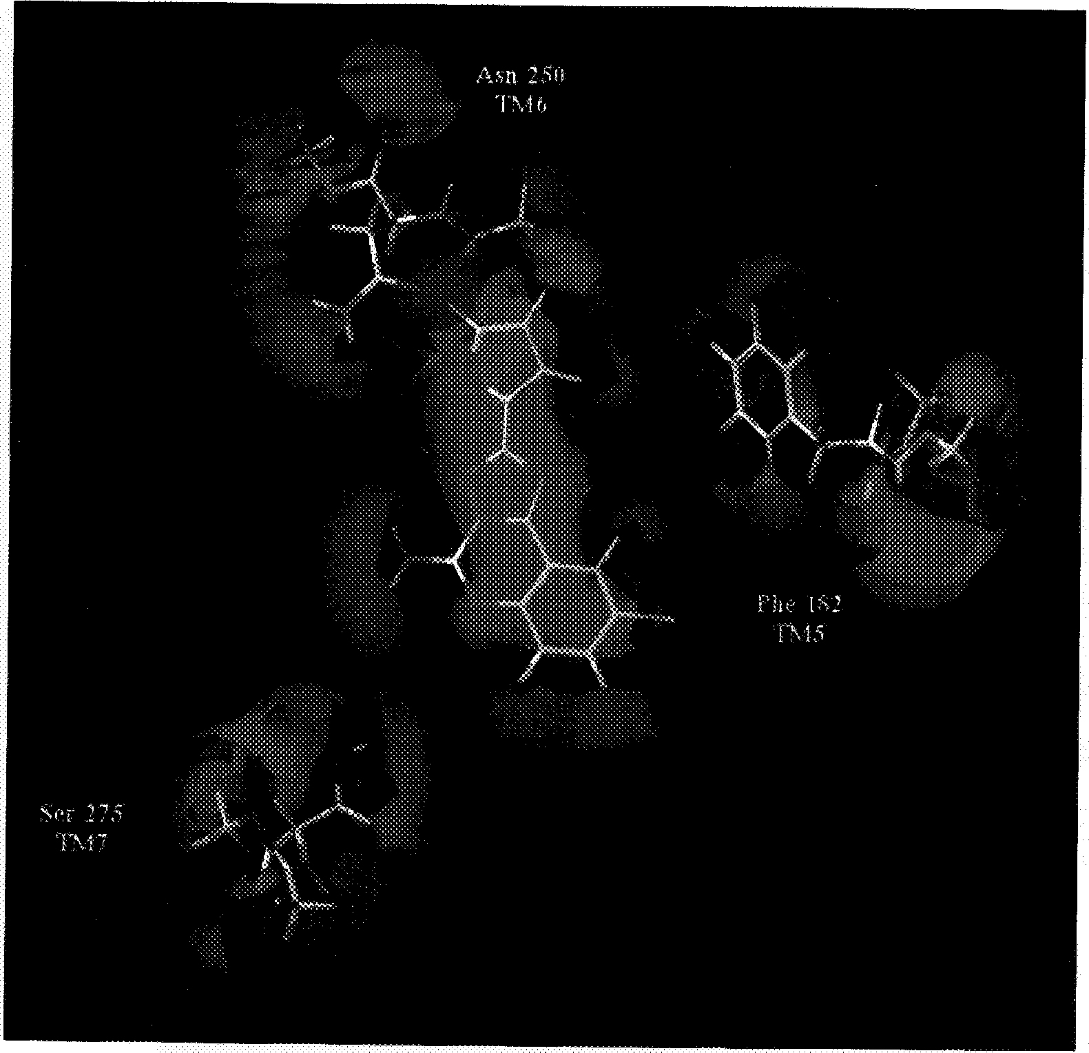 Figure 6.