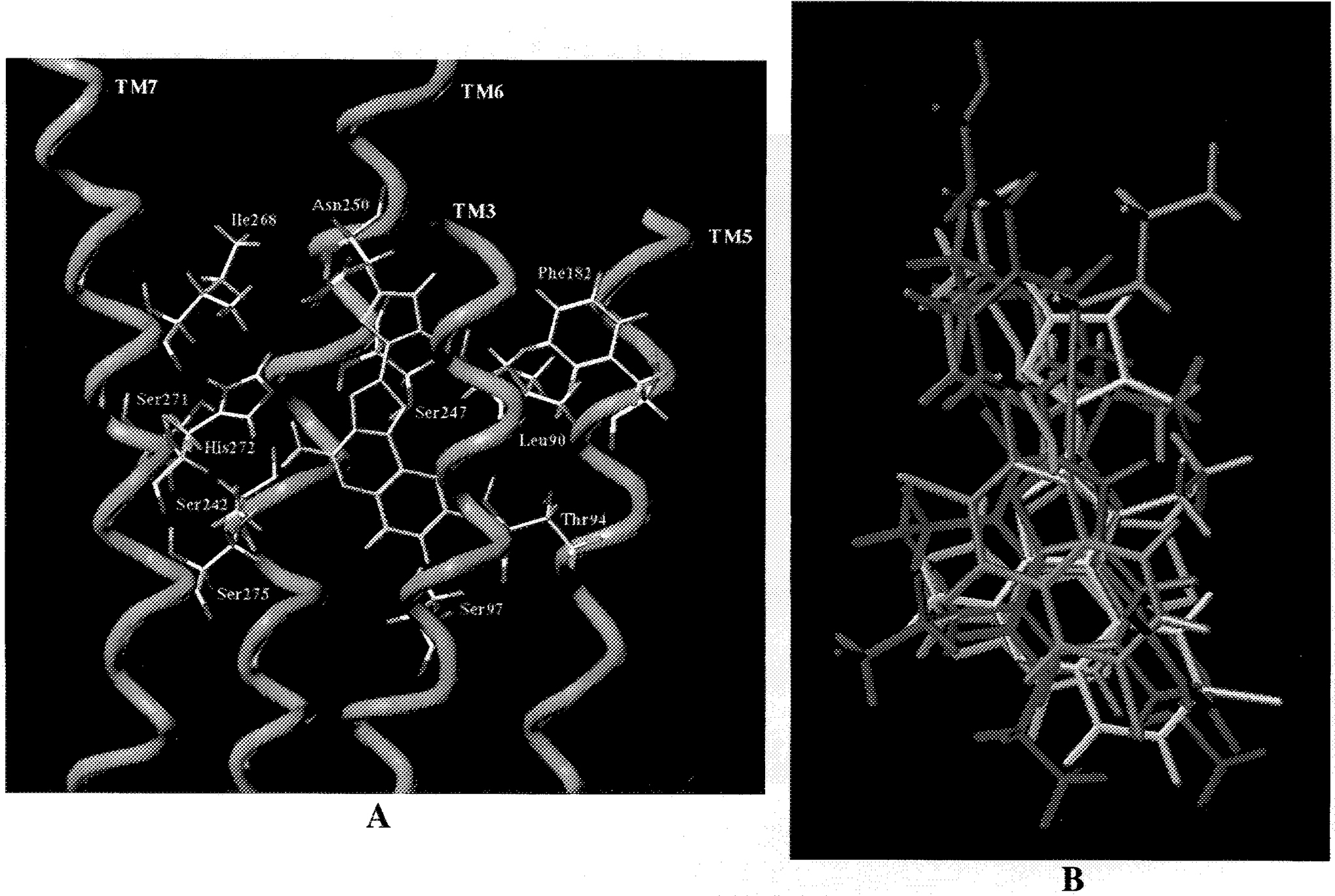 Figure 5.