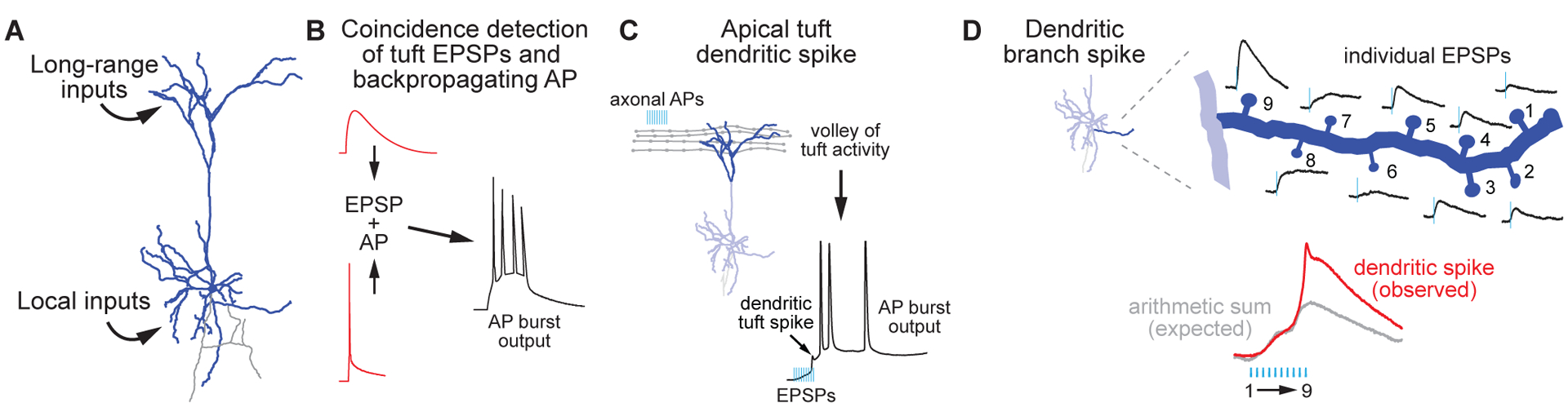 Figure 1: