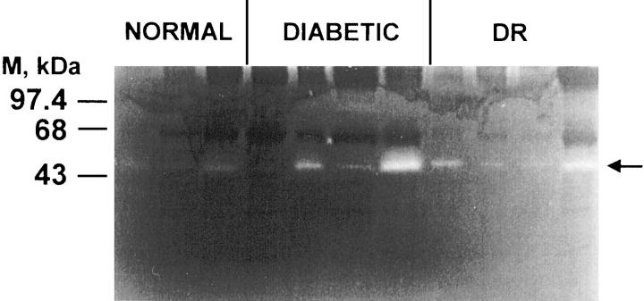 Figure 10.