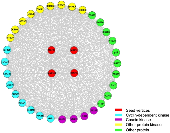 Figure 4