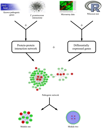 Figure 6