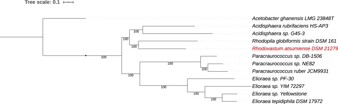 FIG 1