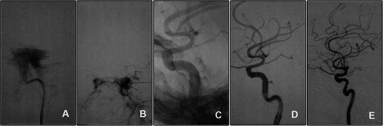 Fig. 3