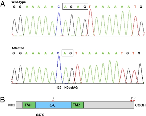 Fig. 4.