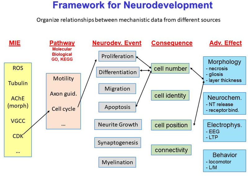 Figure 2: