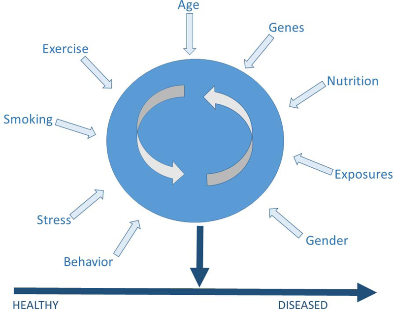 Figure 3: